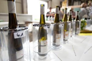 Kulinarische Frühlingsweinprobe im Hotel am Schloss mit der Winzergenossenschaft Albig @ Winzergenossenschaft Albig eG | Albig | Rheinland-Pfalz | Deutschland