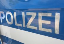 Unfall bei Dexheim: Spiegel ab, weitergefahren und nun gesucht