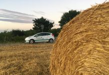 Es ist Erntezeit: Hier ist Rücksichtsnahme aufeinander angesagt