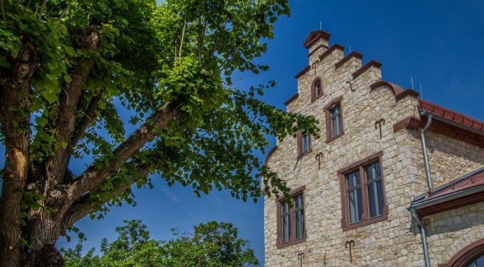 Neues Trauzimmer im Winzerkeller öffnet