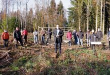 LÖWEN-Azubis helfen im Binger Wald