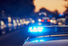 Aggressives Verhalten und Diebstähle in der Mainzer Innenstadt – Tatverdächtiger gestellt