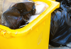 Neue Regelung für die Gelbe Tonne und den Gelben Sack im Landkreis Alzey-Worms