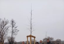 Azubis pflanzen Bäume: Stölzle GmbH spendet zehn Bäume fürs Freizeitgelände „Am Herdry“