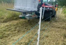 Afrikanische Schweinepest – Zaunbau entlang der Autobahnen