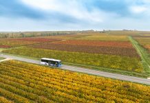 Drei Jahre neues ÖPNV-Konzept – eine Erfolgsgeschichte im Rhein-Nahe Nahverkehrsverbund