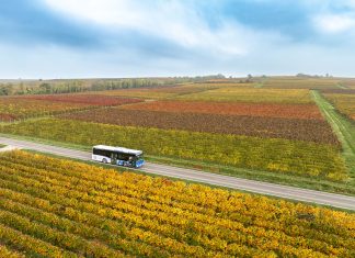 Drei Jahre neues ÖPNV-Konzept – eine Erfolgsgeschichte im Rhein-Nahe Nahverkehrsverbund