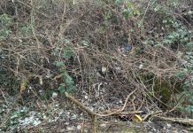 Ermittlungen nach Knochenfund